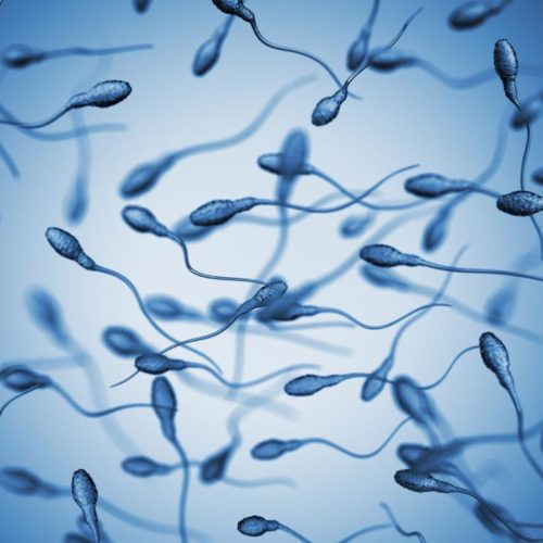 sperm-on-a-blue-background